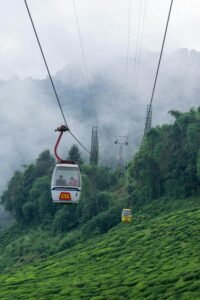 Darjeeling Tea Estate Retreat – Romantic Tea Garden Honeymoon West Bengal
