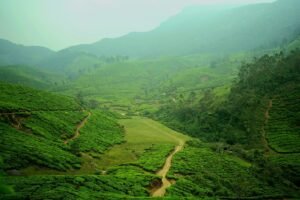 Munnar Misty Hills Romance – Romantic Tea Garden Cottage Honeymoon Kerala